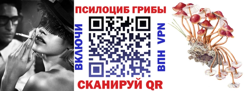 Галлюциногенные грибы Psilocybine cubensis  Билибино 